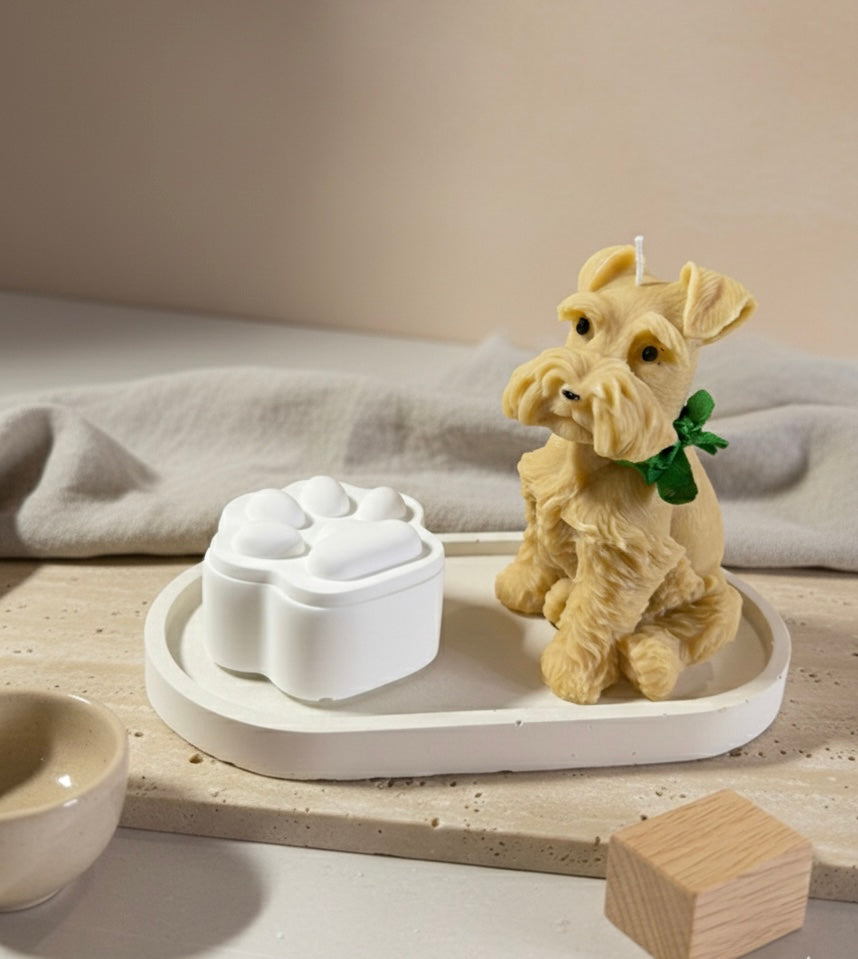 🐾 Paws Duo – Large