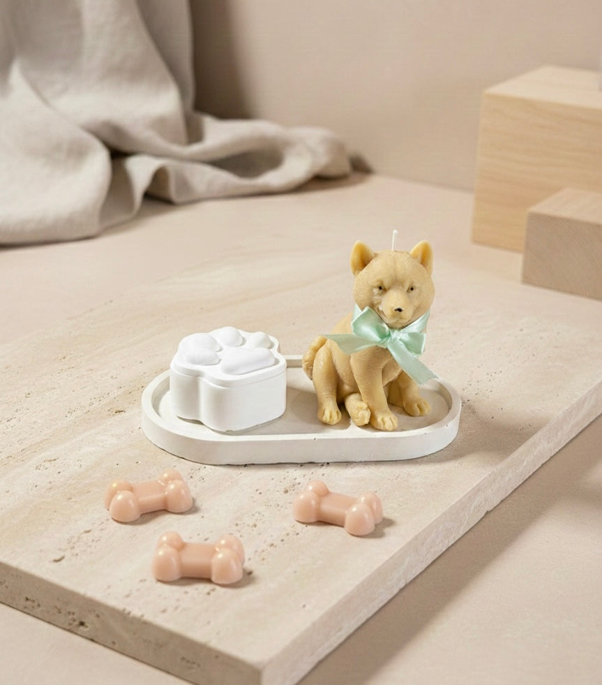 🐾 Paws Duo – Large